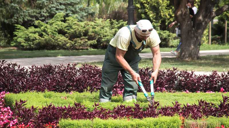 Professional Landscapers, How Much Do Professional Landscapers Make