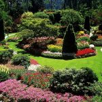 5 Key Landscape Design Principles For Beginners