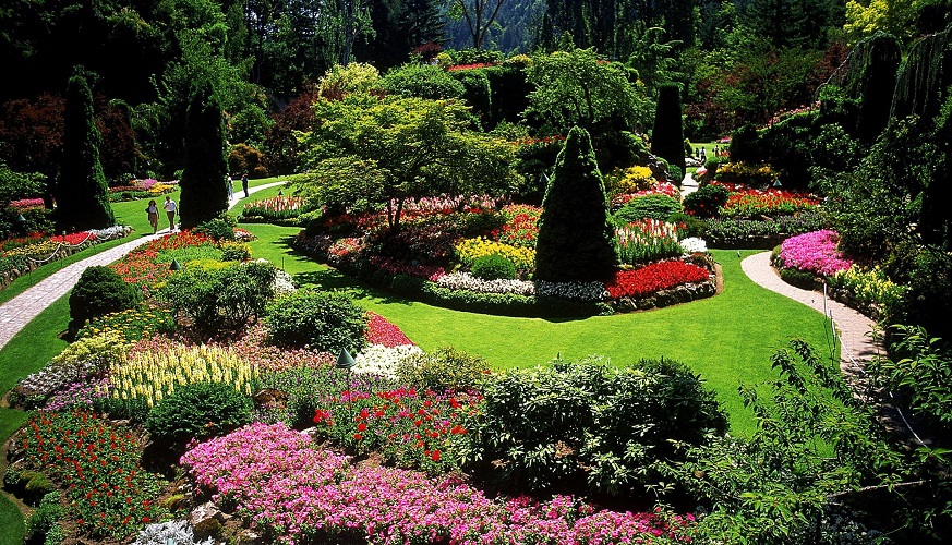 5 Key Landscape Design Principles For Beginners