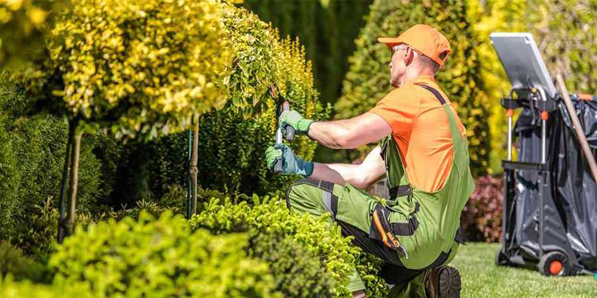 How Landscapers Can Ask For Referrals Correctly Without Irritating Clients